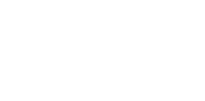 WNBA logo