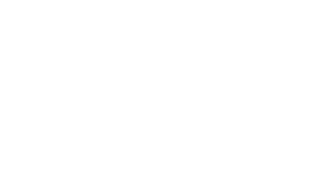 WNBA Logo