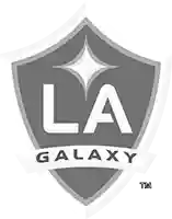 LA Galaxy logo